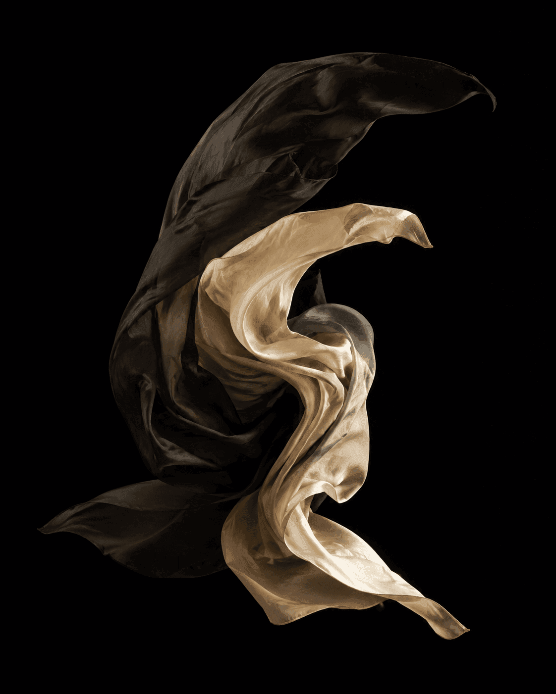 Two lengths of silk, one black and one champagne, suspended mid-fall in still air.