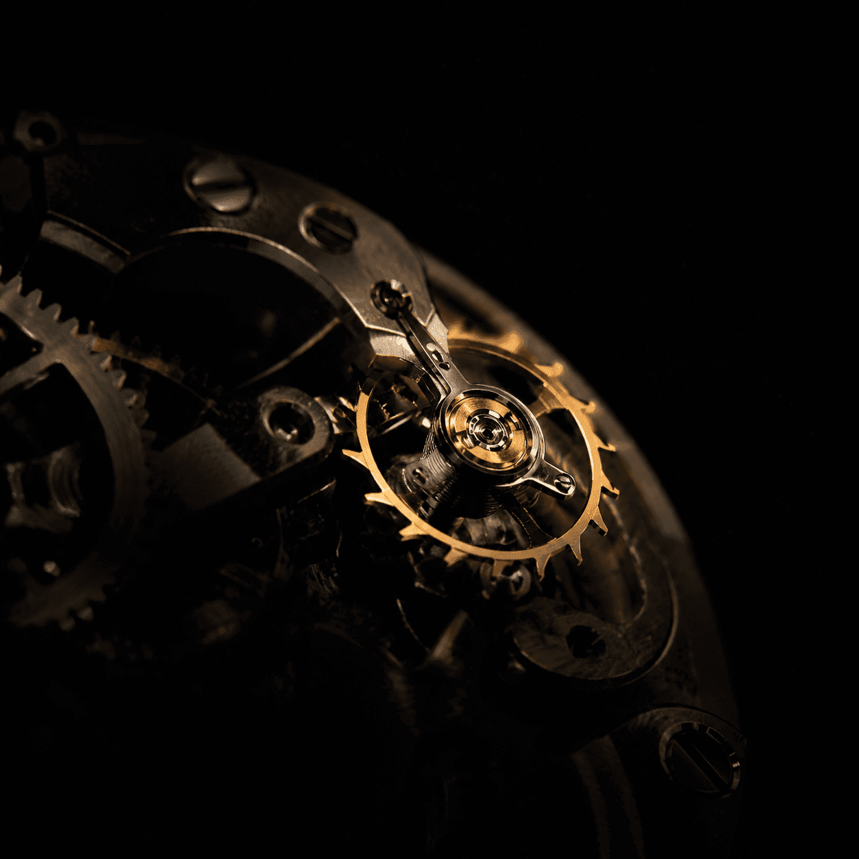 The brass movement of a watch glowing against near-black, gears caught in a single warm light.
