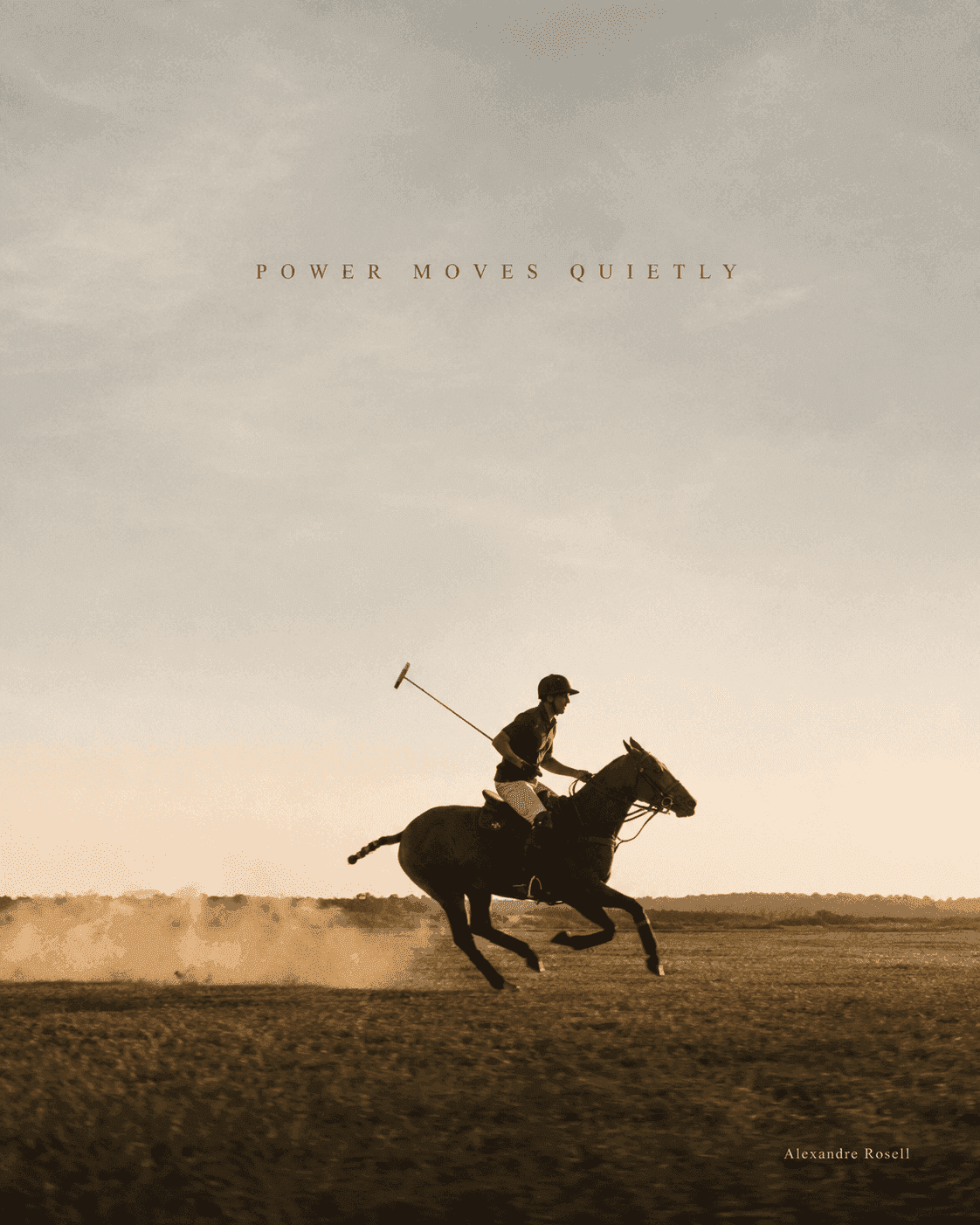 A polo player at full gallop, mallet raised, dust rising across the field at dusk.